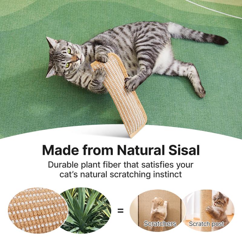 🐱 Interactive Catnip Chew Toy for Active Indoor Cats