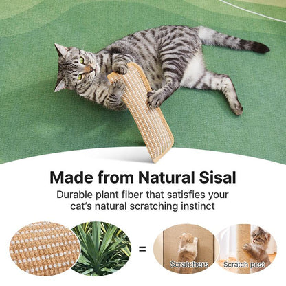 🐱 Interactive Catnip Chew Toy for Active Indoor Cats