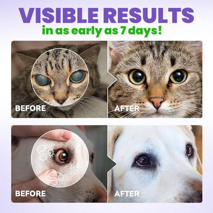 ⏱️ Fast Results 🌟 Official Store | ODEIUN™ Pet Eye Drops