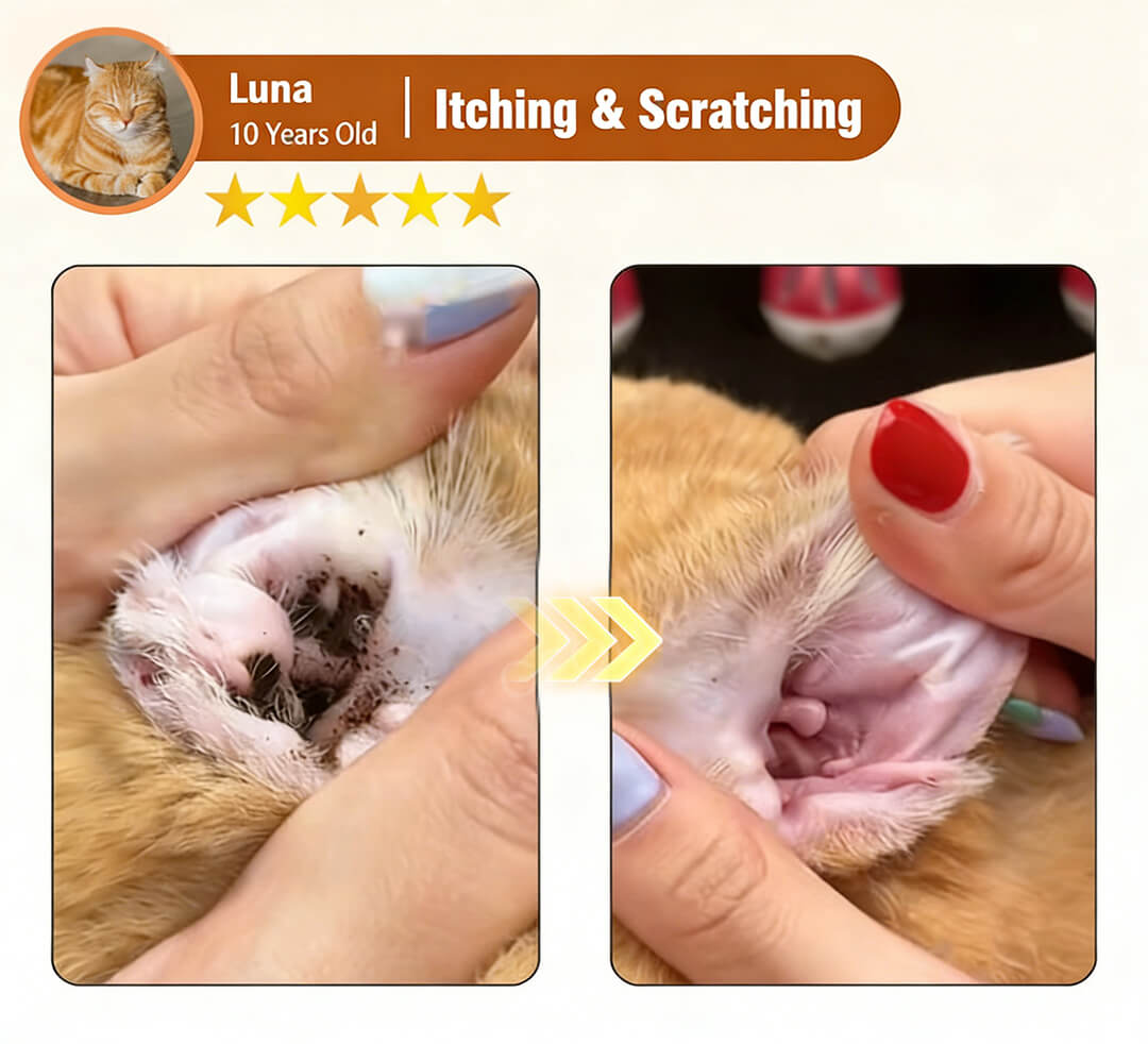 ODEIUN™ EnzyClean Pet Ear Cleaner 🐶🐱 Enzymatic Ear Care for Fast Itch and Odor Relief