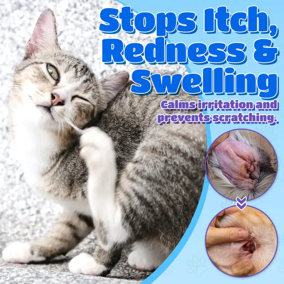 🩺 ODEIUN® Pet EarPro Drops FM+ | Vet-Grade Treatment for Mites, Yeast & Bacteria